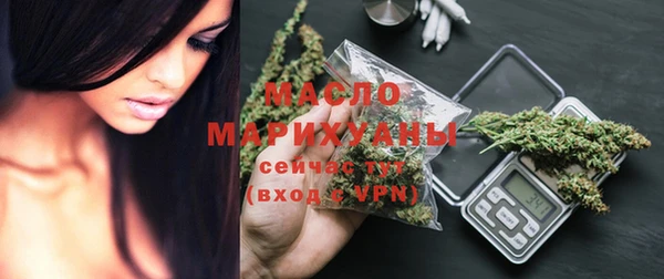 дмт Осташков