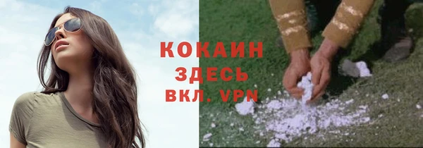дмт Осташков