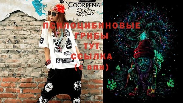 экстази Няндома