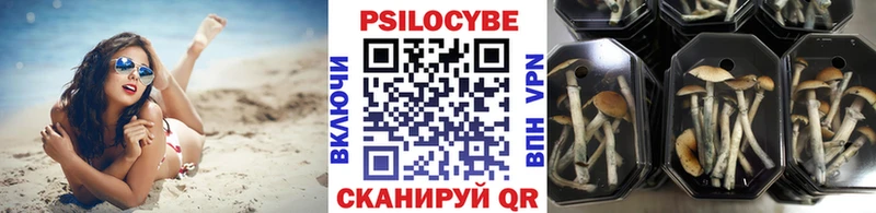 Псилоцибиновые грибы ЛСД Таганрог