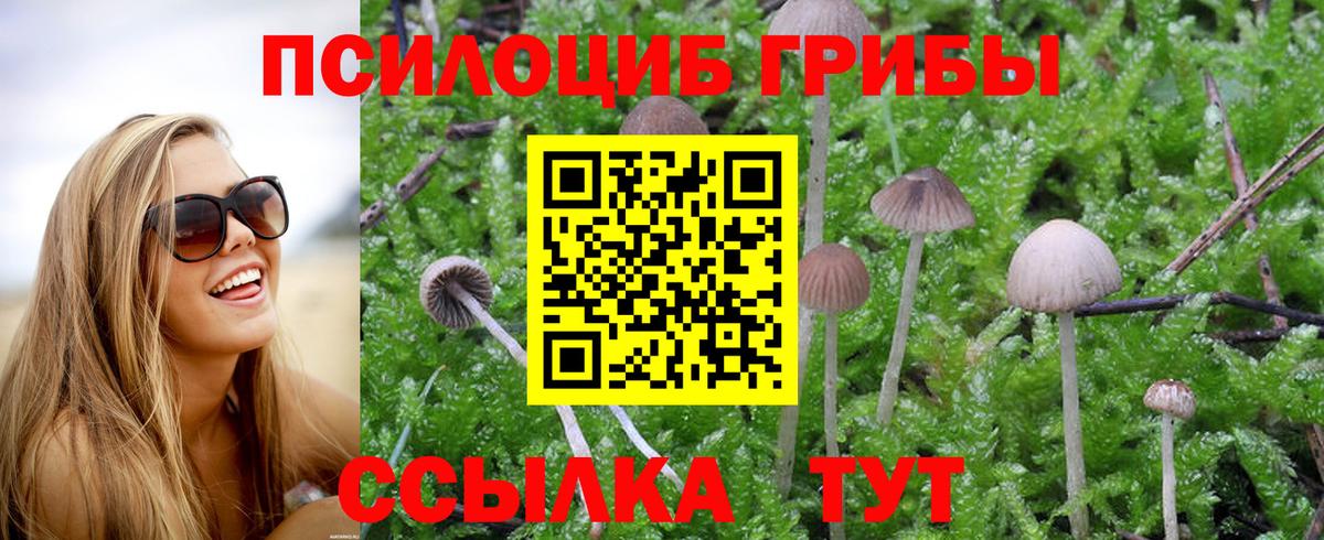 Таганрог  Псилоцибиновые грибы Psilocybine cubensis  Галлюциногенные грибы Psilocybine cubensis  Вход с VPN 