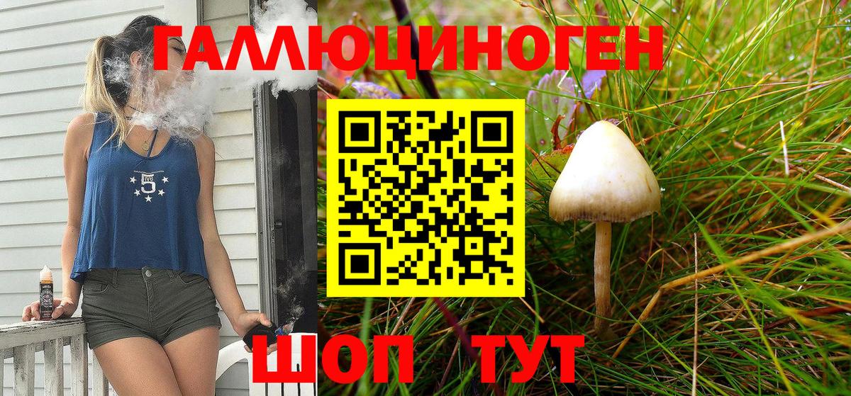 Псилоцибиновые грибы мухоморы Таганрог